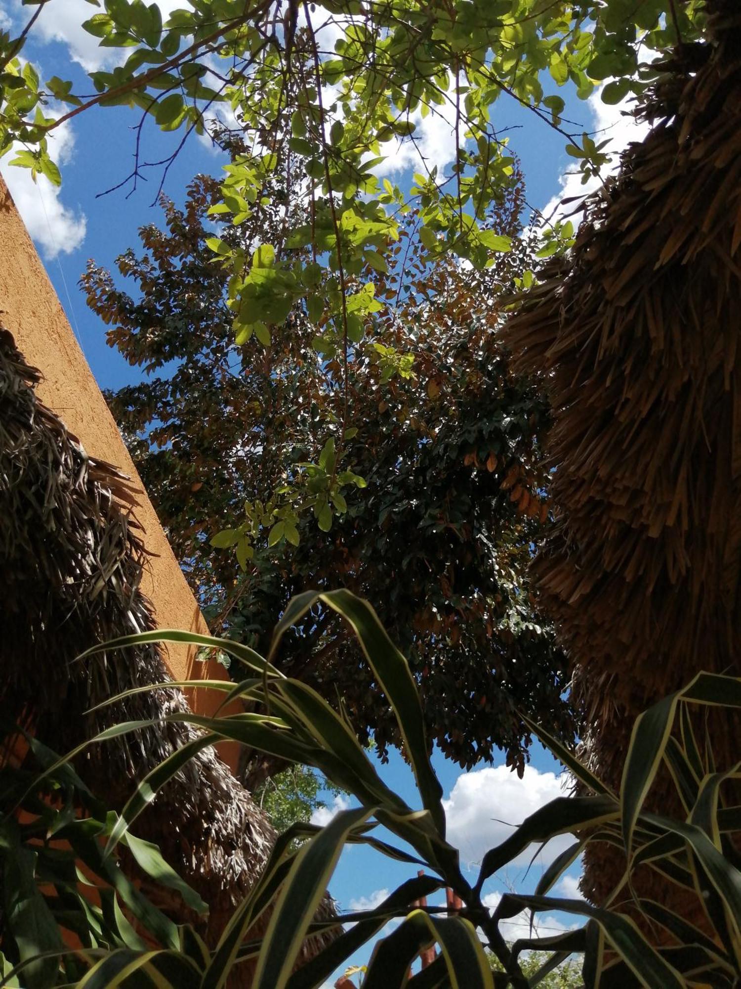 Suites De Piedra Y Colores En Chichen Itza 皮斯特 外观 照片