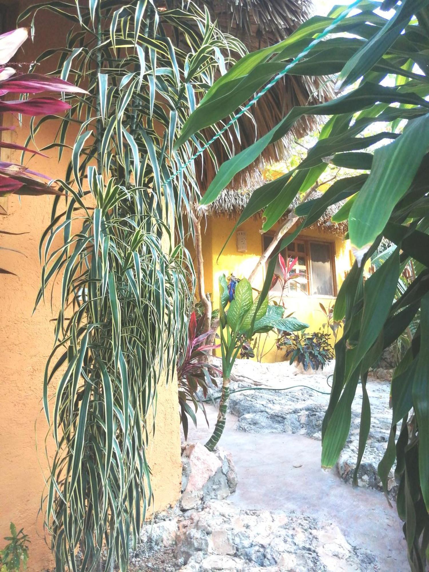Suites De Piedra Y Colores En Chichen Itza 皮斯特 外观 照片