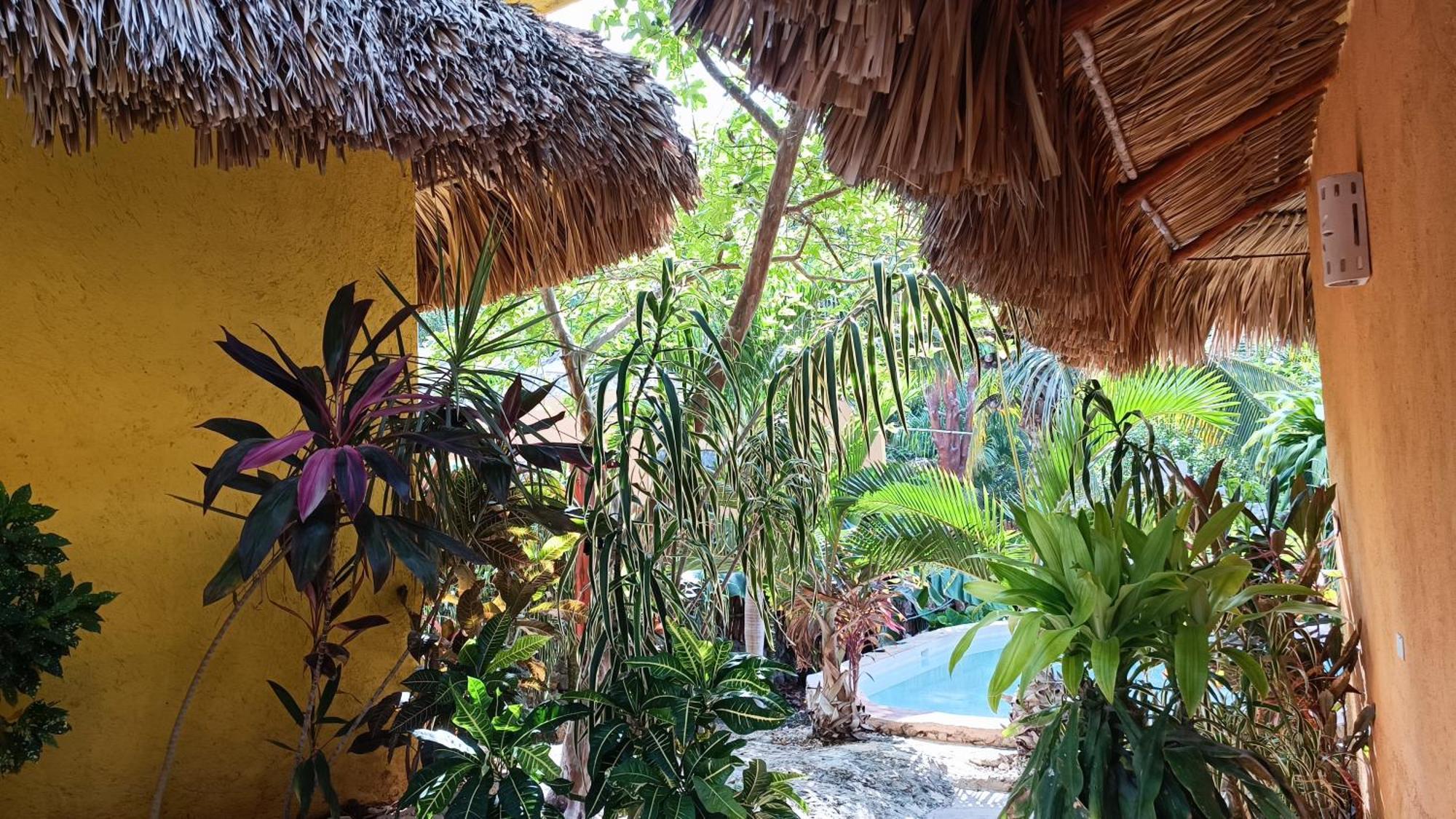 Suites De Piedra Y Colores En Chichen Itza 皮斯特 外观 照片